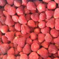 best freeze-drying fd fruit chips product,selling freeze dried strawberries bulk dry natural fruit healthy food snacks factory